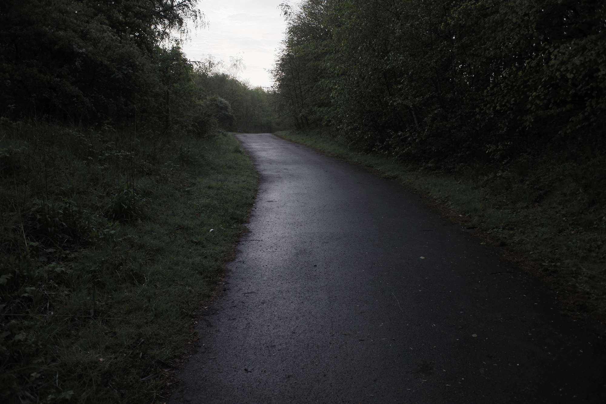 A pathway cutting through the bastard countryside.