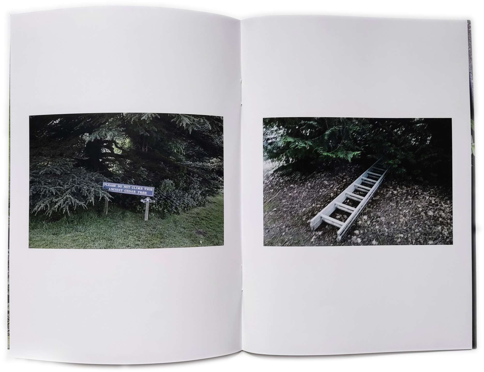 A zine spread of a keep off sign and ladders hidden under a tree.