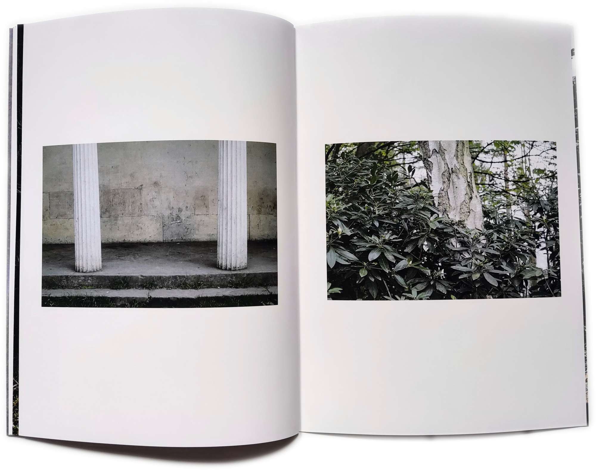 A zine spread of white arcadian pillars and a white silver birch tree.