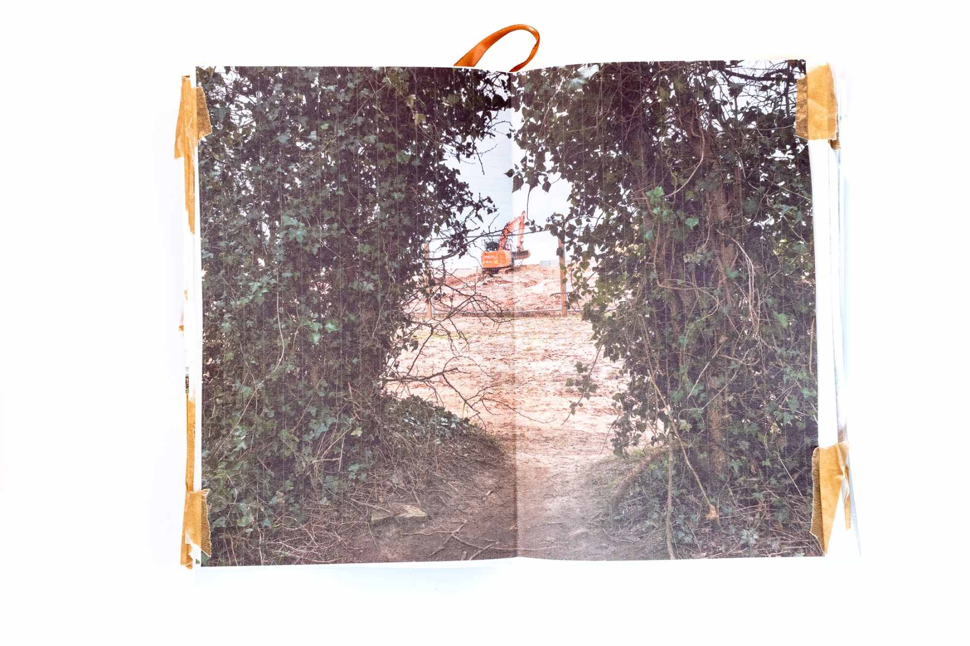 A photographic sketchbook. A jcb surronded by wild ivy.