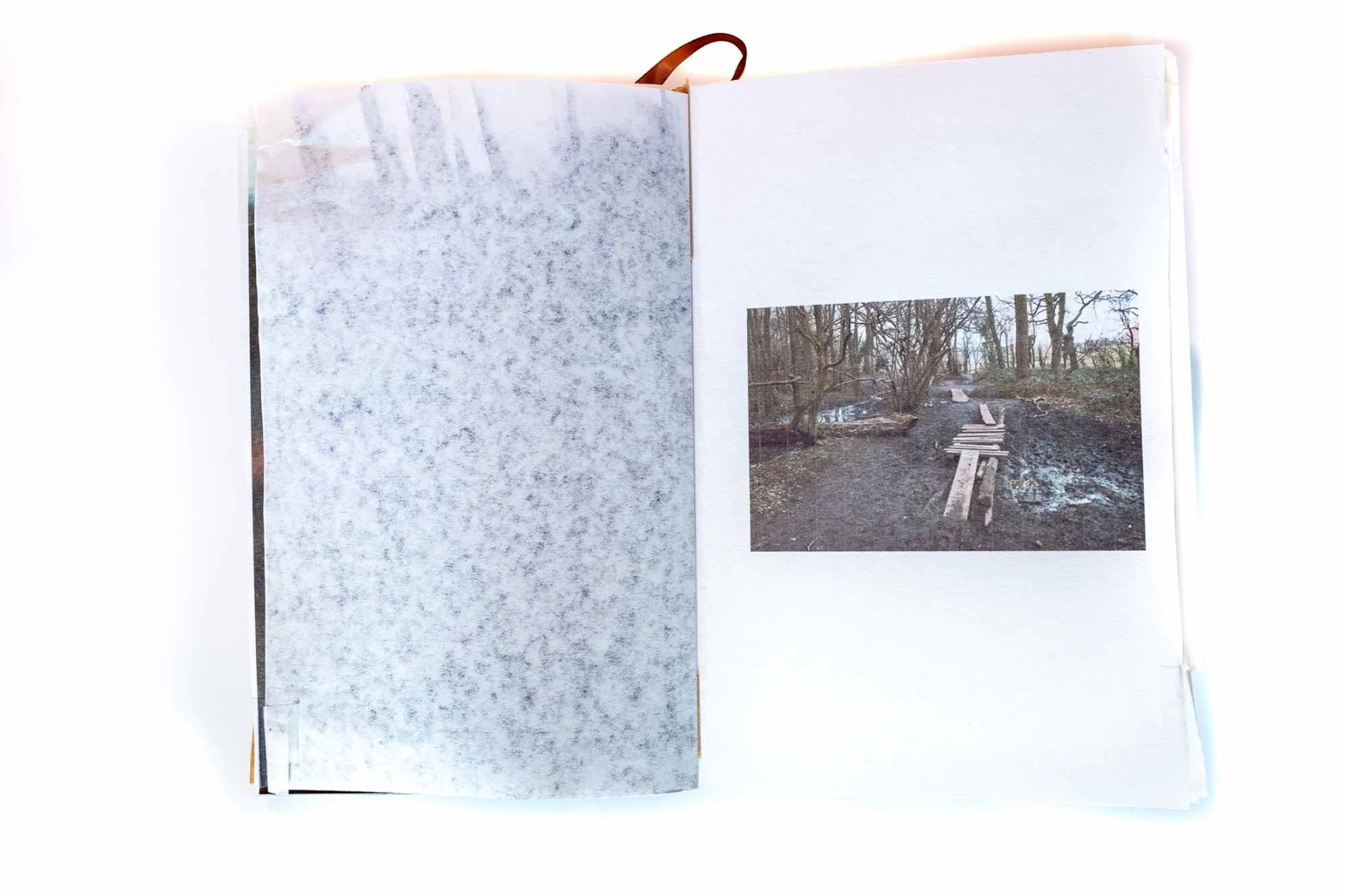 A photographic sketchbook. An edgeland swamp crossing.