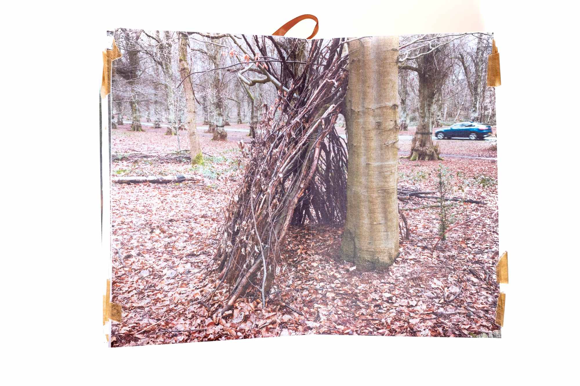 A photographic sketchbook. Modifications to the landscape, a shelter in the woods with a car passing by.