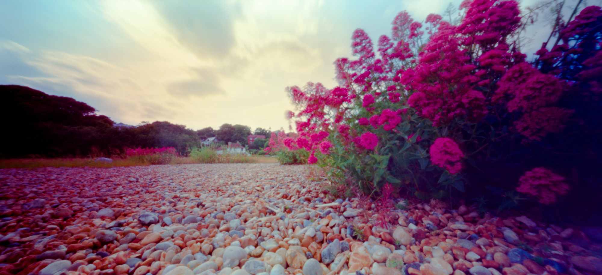 Colour pinhole of a beach and seascape.