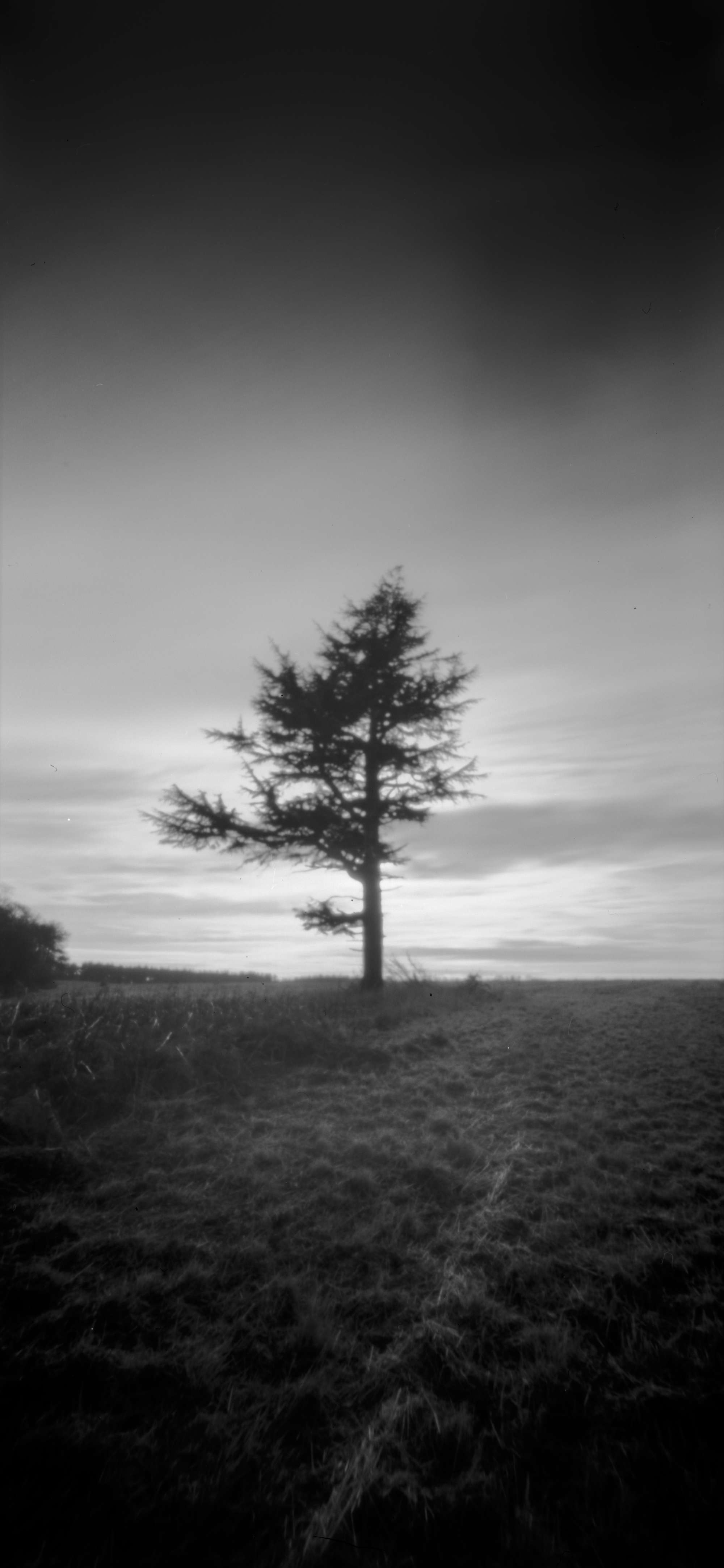 pinhole of vertical landscape