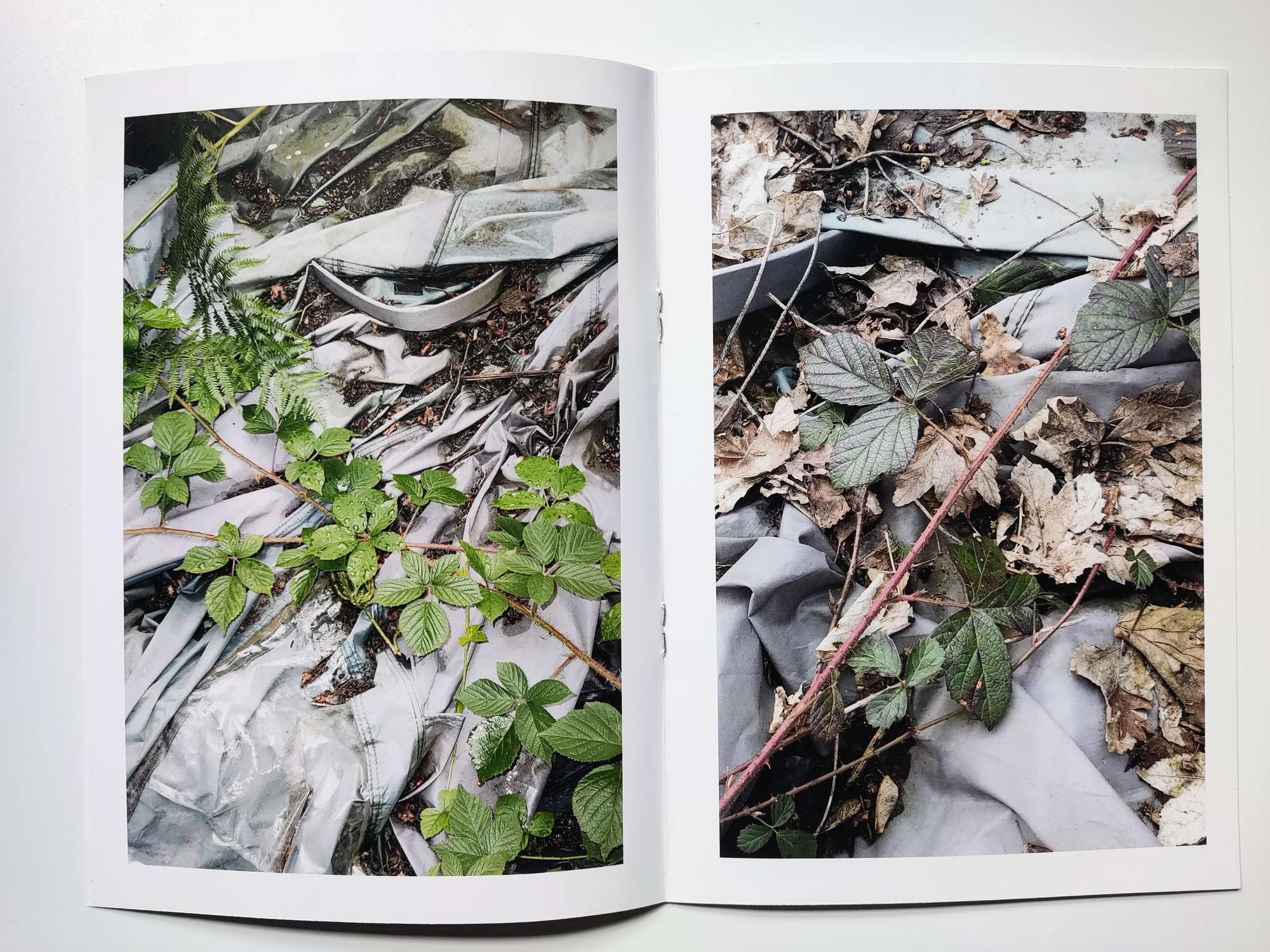 Zine/photobook. Creeping weeds along the tent.