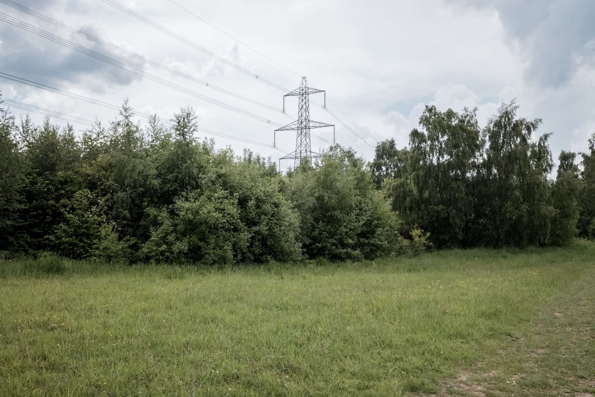 edgeland pylon in a meadow