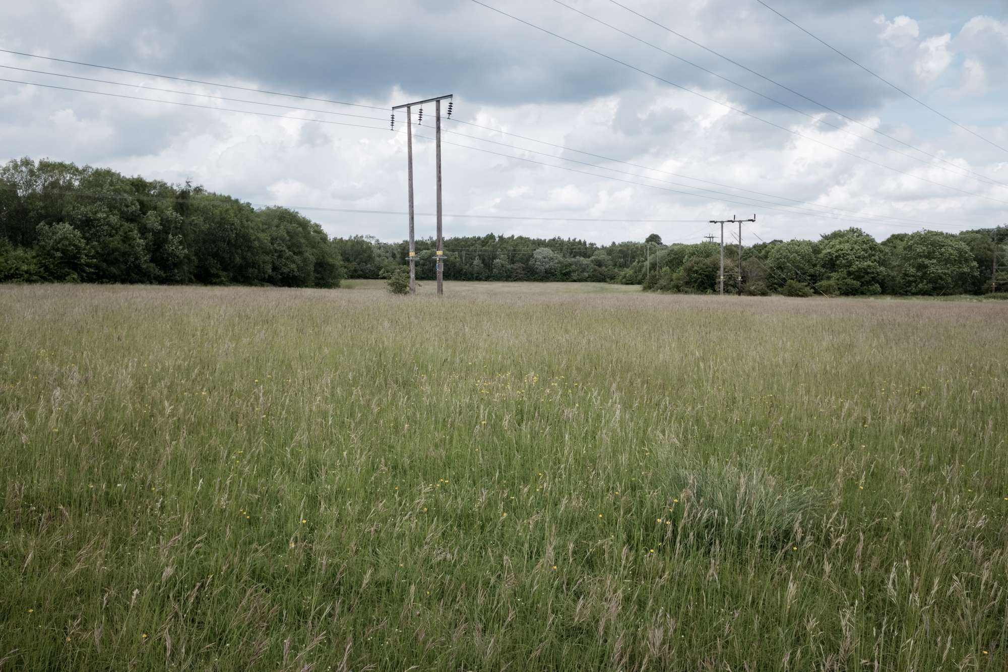 edgeland pylons in a meadow