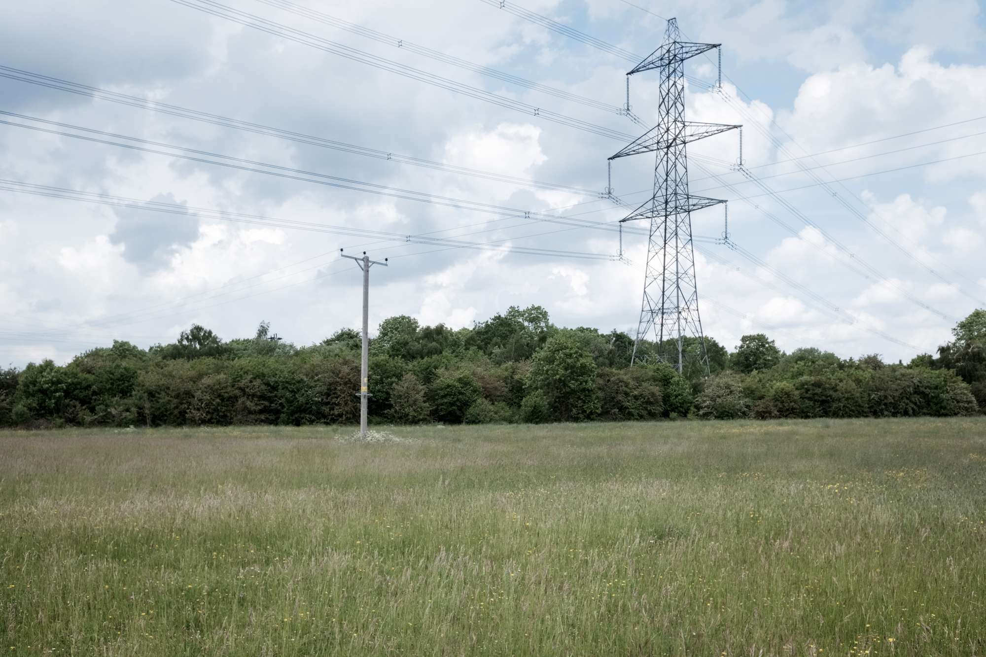 edgeland pylons in a meadow