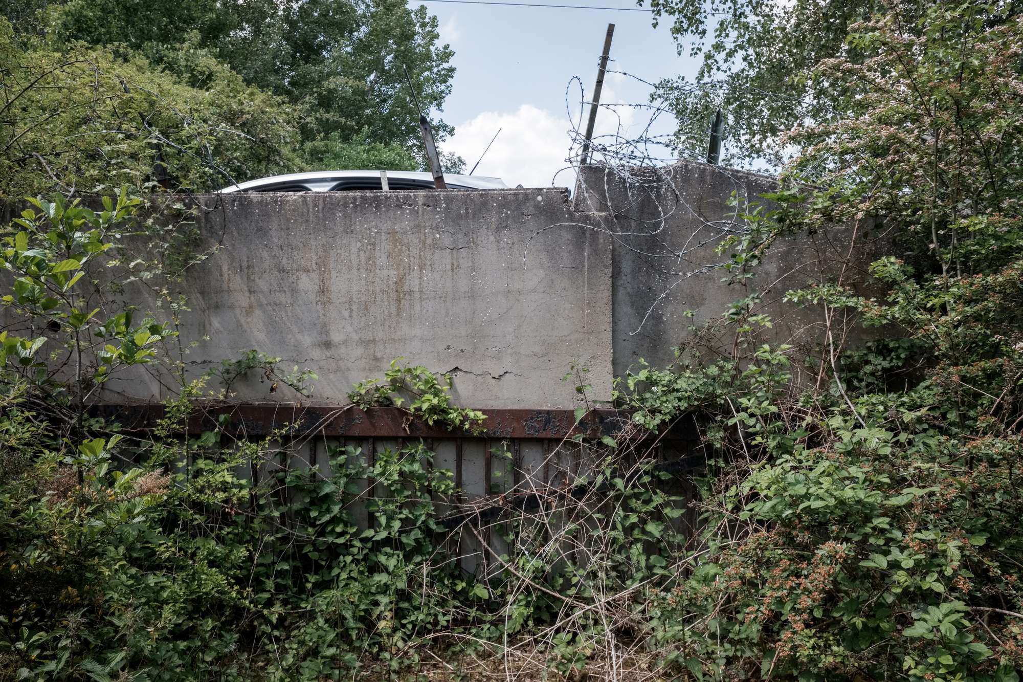 A concreate wall in an edgeland bramble patch